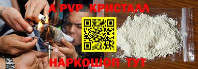 стаф Котовск