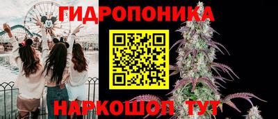 стаф Котовск
