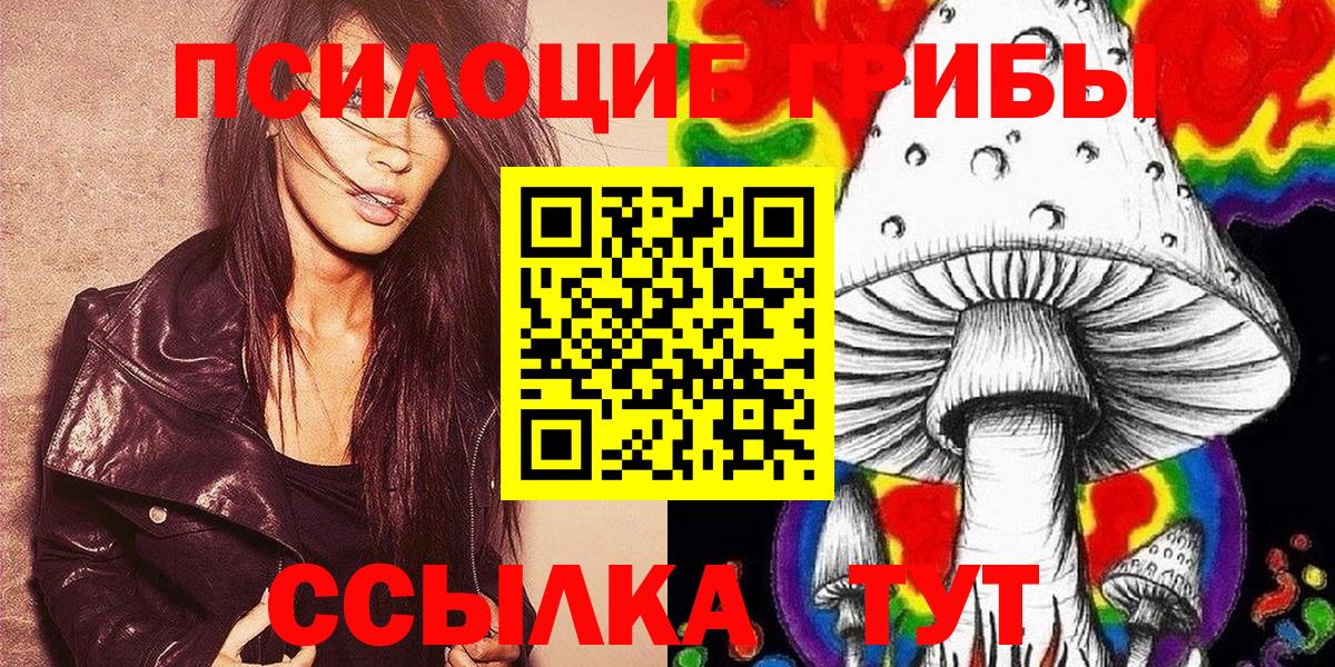 Псилоцибиновые грибы Cubensis Берёзовский