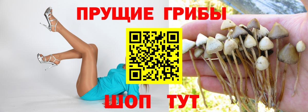 Берёзовский  Галлюциногенные грибы Psilocybe  Вход с VPN  Псилоцибиновые грибы Cubensis 
